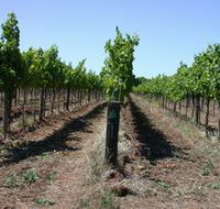 Temple Bruer Winery - New Castle Holiday