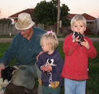 Orrie Cowie Merino and Poll Merino Stud - New Castle Holiday