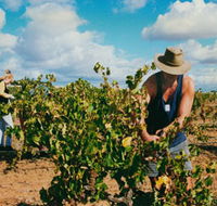 Torbreck Vintners - New Castle Holiday