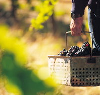 Burge Family Winemakers - New Castle Holiday