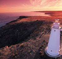 Lashmar Conservation Park - New Castle Holiday