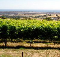 Braydun Hill Vineyard - New Castle Holiday