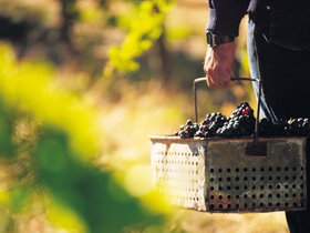 Spinifex Art And Crafts - New Castle Holiday 0