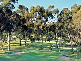 Tanunda Pines Golf Club - New Castle Holiday 0