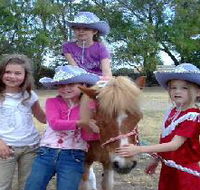 Amberainbow Pony Rides - New Castle Holiday