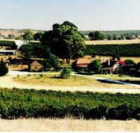 Irvine Wines - New Castle Holiday