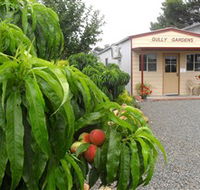 Gully Gardens - New Castle Holiday