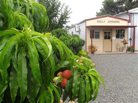 Gully Gardens - New Castle Holiday 0
