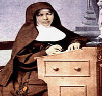 Mary MacKillop Penola Centre - New Castle Holiday