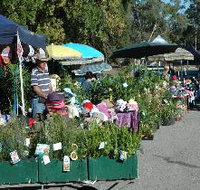 Meadows Monthly Market - New Castle Holiday
