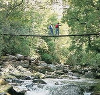 Arve Forest Drive - New Castle Holiday