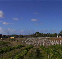 Deep Creek Wines and Alpacas - New Castle Holiday