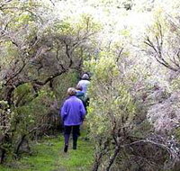 Jack And Hilda McArthur Walk - New Castle Holiday