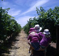 McLaren Vale Orchards - New Castle Holiday