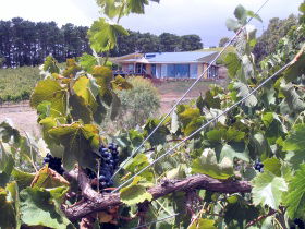 Zimmermann Wine - New Castle Holiday 0