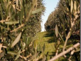 Evilo Estate - New Castle Holiday 0