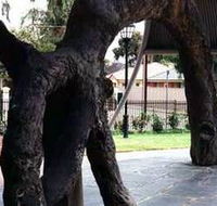 Old Gum Tree - New Castle Holiday