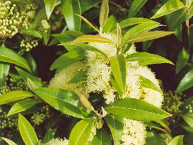 Verdun SA New Castle Holiday