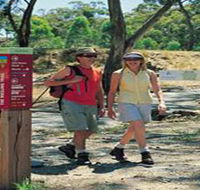 Riesling Trail - New Castle Holiday