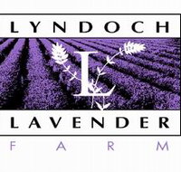 Lyndoch Lavender Farm and Cafe - New Castle Holiday