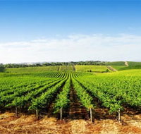 Aldinga Bay Winery - New Castle Holiday