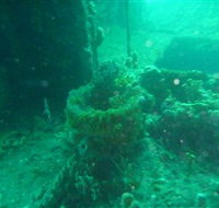 Wallaroo Scuba Club - New Castle Holiday