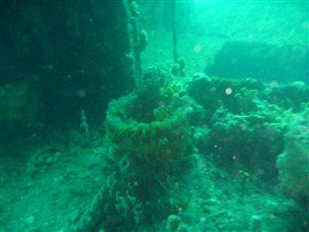 Wallaroo Scuba Club - New Castle Holiday 0