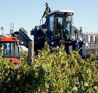 Ballast Stone Estate Wines Pty Ltd - New Castle Holiday