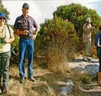 Coobowie Bird Hide - New Castle Holiday