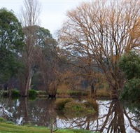 Gemtree Wetlands Ecotrail - New Castle Holiday