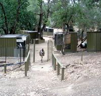 Humbug Scrub Wildlife Sanctuary - New Castle Holiday