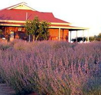 Bella Lavender Estate - New Castle Holiday