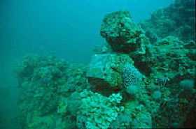 Port Willunga SA New Castle Holiday