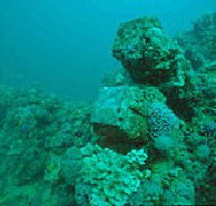 Adelaide's Underwater Heritage Trail - New Castle Holiday