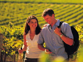 Lady Bay Vineyard - New Castle Holiday 0