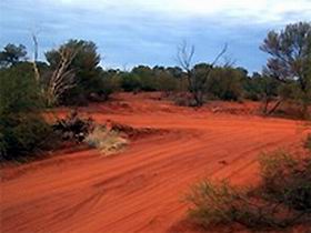 Tallaringa Conservation Park - New Castle Holiday 0