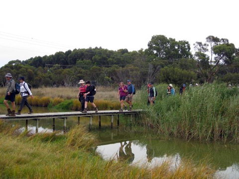 Lavender Federation Trail - New Castle Holiday 1