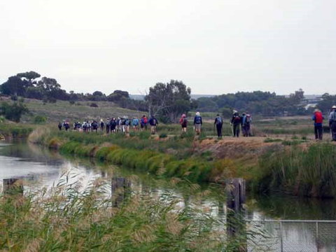 Lavender Federation Trail - New Castle Holiday 2