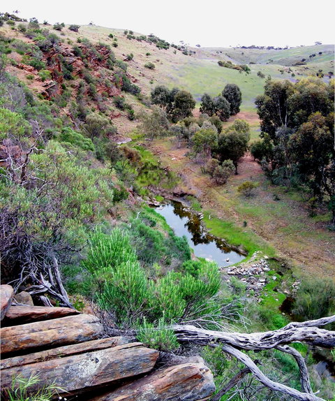 Lavender Federation Trail - New Castle Holiday 3