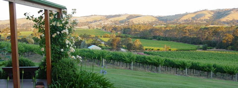 DogRidge - New Castle Holiday 2