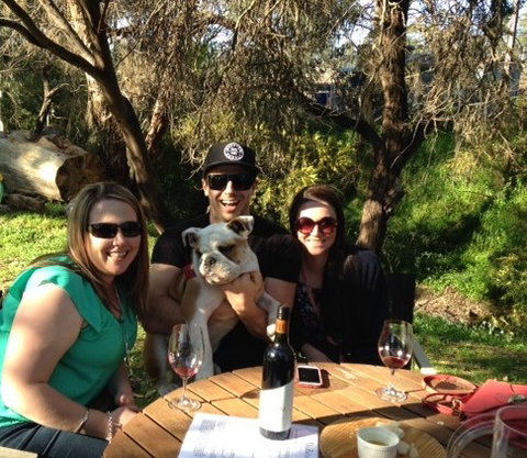 DogRidge - New Castle Holiday 3