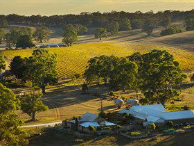 Hutton Vale And Farm Follies - New Castle Holiday 0