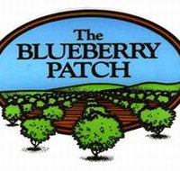The Blueberry Patch - New Castle Holiday