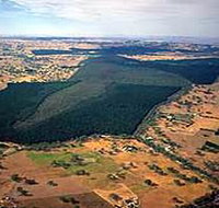 Mount Crawford Forest Reserve - New Castle Holiday