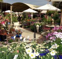 Serenity Nursery - New Castle Holiday