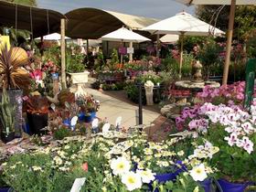 Serenity Nursery - New Castle Holiday 0