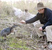 Sinclair's Gully - New Castle Holiday