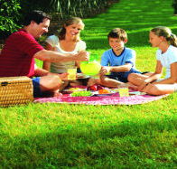 Bruny Island Berry Farm - New Castle Holiday