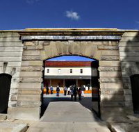 Tasmanian Museum and Art Gallery - New Castle Holiday