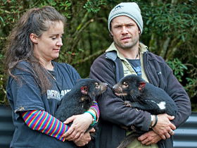 Cradle Mountain TAS New Castle Holiday